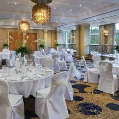 Terrace Room
