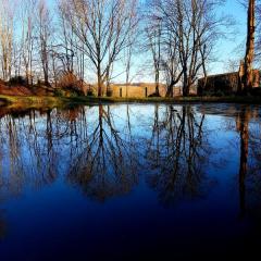 Hermitage Pond Photo