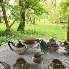 Rondarvel in the woods