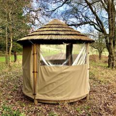 Rondarvel in the woods