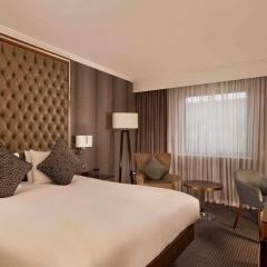 Deluxe Guest Room