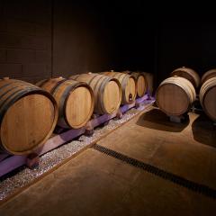 Wine Barrels Photo