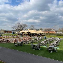 Stretch tent on Copper King lawn