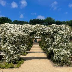 Kirkleatham Walled Garden in Bloom Photo