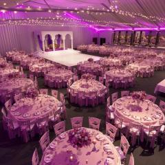 Kings Suite Wedding