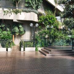 Conservatory Terrace