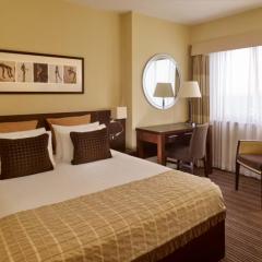 Standard Double Guest Room