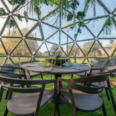 Igloo Dome