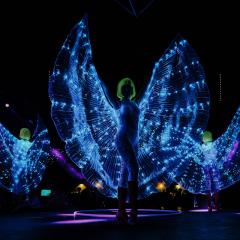 Stunning LED Performers Photo