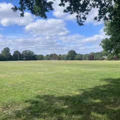 Rugby Pitch