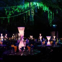 Themed Decor
