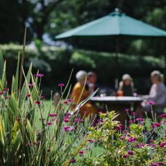Gardens