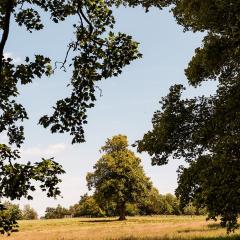Hothorpe Estate Grounds