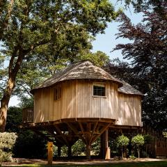 Treehouse Lodge