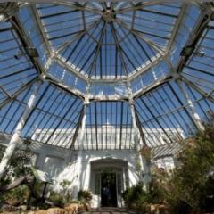 The Temperate House Photo