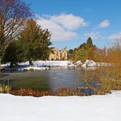 House and Grounds in the Snow Photo