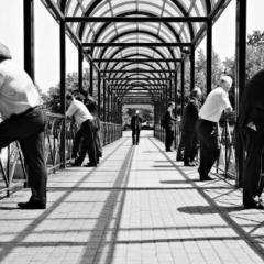 Bridge