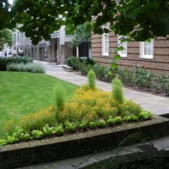Initimate Garden