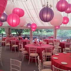 Marquee Party