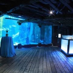 SEA LIFE London Aquarium - Seated and Standing Events