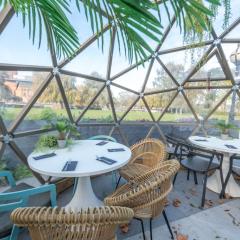 Igloo Domes - The Embankment