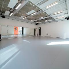 The Weston Research Space - The Dance Space