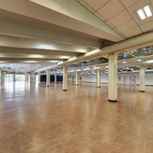 Esher Hall - Sandown Park Racecourse